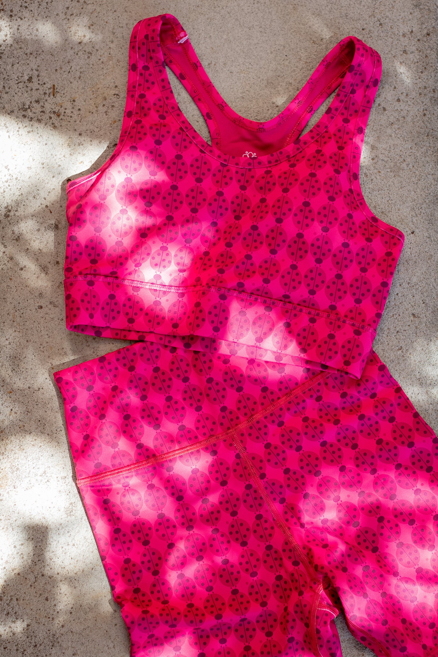 Ladybug Shorts and Crop Top Set